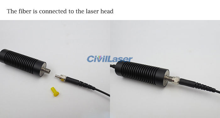 fiber laser module